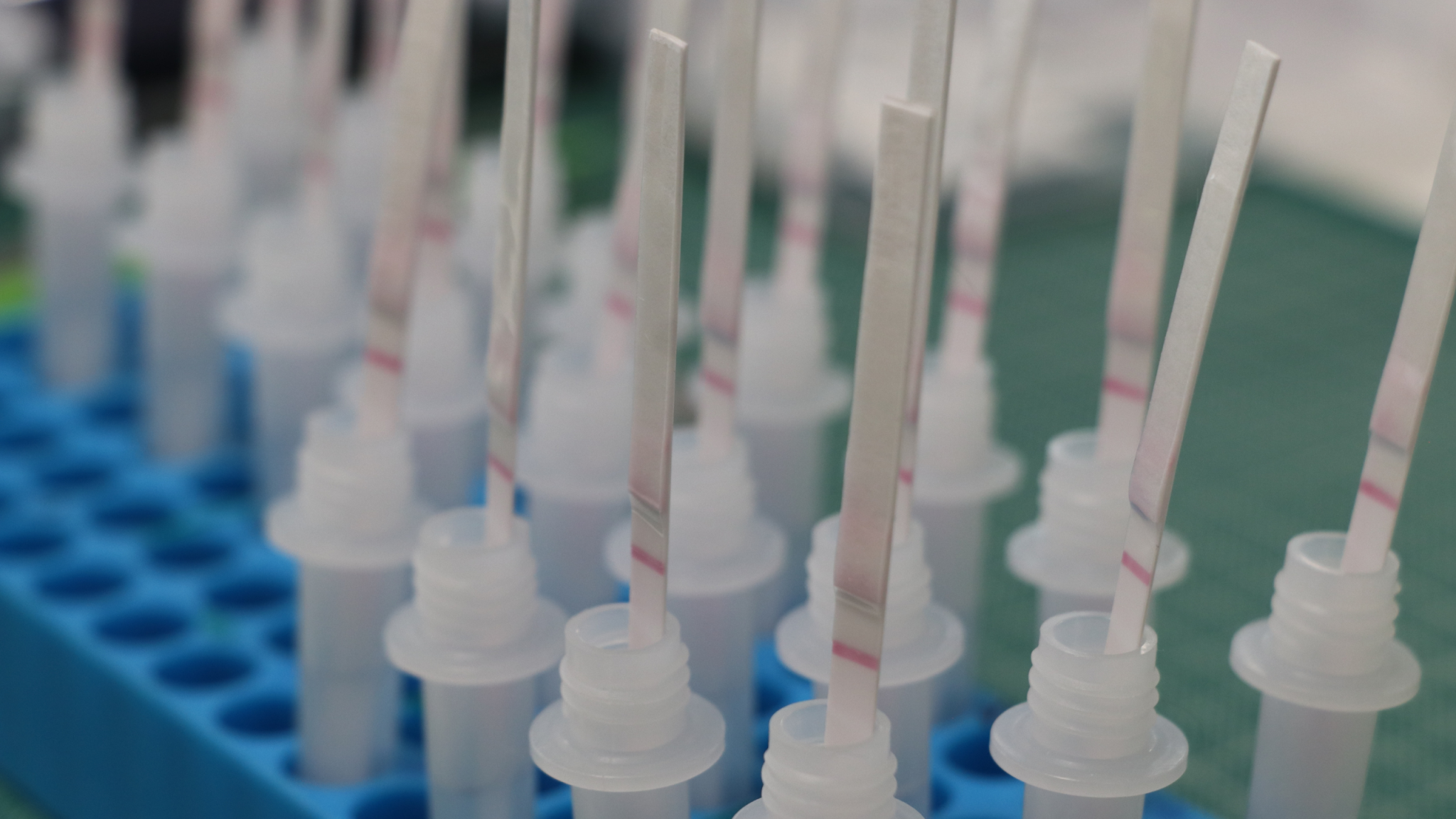 Lateral Flow Development at Medtechtomarket - MedtechtoMarket